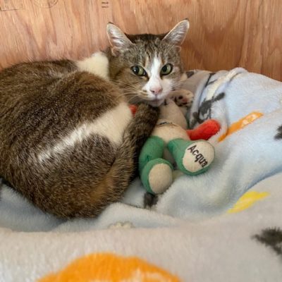 おいち（メス）