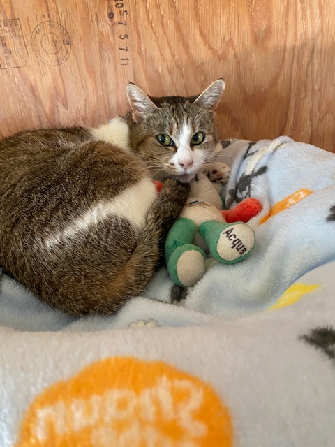 おいち（メス）