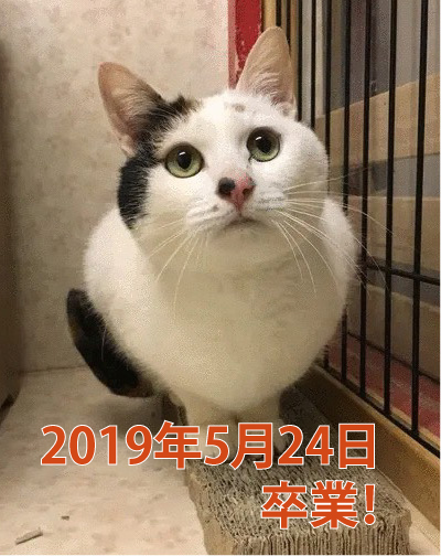 ミィ子（メス）